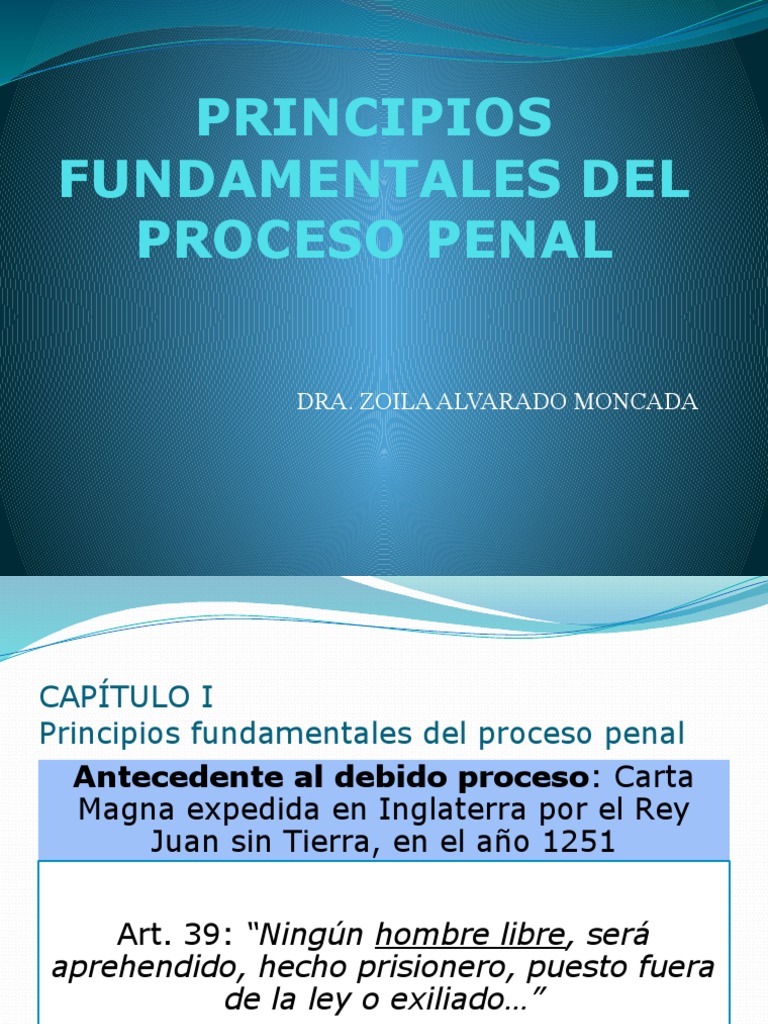 Principios Fundamentales Del Proceso Penal | PDF | Debido al proceso ...