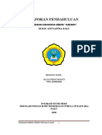 Anemia Diagnosis Report at RSU Anutapura Palu