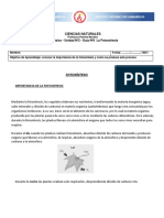 Fotosíntesis: proceso clave para la vida en la Tierra