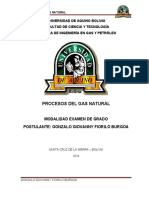 Procesos Del Gas Natural Gonzalo Fiorilo 17-02-18