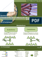 BioGeo10 Fermentacao