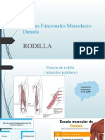 Pruebas Funcionales Musculares- Daniels RODILLA- ANALISIS