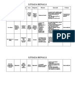 271238261 Plan de Ingrijire Litiaza Renală