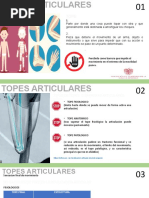 Definición y Función de las Metameras | PDF | Médula espinal | Nervio