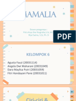 Kelompok 6 (Mamalia)