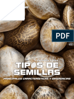 I+D TIPOS DE SEMILLAS