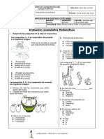 EVALUACIÓN MATEMÁTICAS PRIMER GRADO