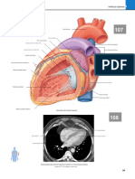 Grays Atlas of Anatomy 41-74.en - Es