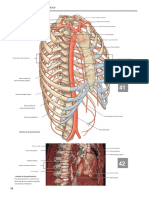 Grays Atlas of Anatomy 16-40.en.es
