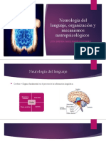 Neurología Del Lenguaje, Organización y Mecanismos Neuropsicológicos