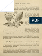 Belladona - Domínguez, Durañona APUNTES DE BOTÁNICA MEDICA 2