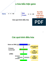 Lec 4 - Chuong 2 - Dieu Hoa Bieu Hien Gen Prokaryote