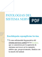Patologias Del Sistema Nervioso