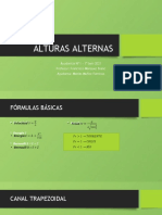 Ayudantía Alturas Alternas