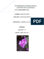 Cronograma y programas de fertilización y control de plagas para vivero