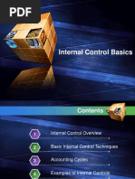 Internal Control Basics