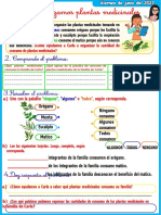 Ficha Sem.8día5