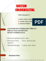 Sistem Muskuloskeletal