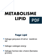 Blok 6, Metabolisme Lipid