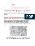 Diagnosis Banding Jantung Berdebar