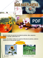 Diversidade de Plantas - Morfologia Evolutiva