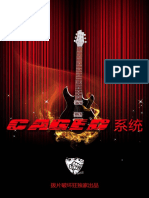 CAGED系统 中文PDF