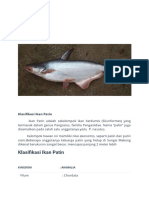 Klasifikasi Ikan Patin