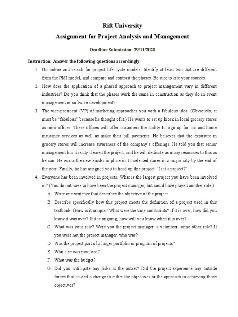 Project Analysis and Management Assignment | PDF | Net Present Value ...