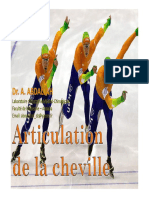 Anato23-Articulation Cheville