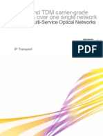 Ethernet and TDM Carrier-Grade Services Over One Single Network