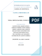 Distocias óseas: clasificación y tipos de pelvis