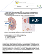 Sistema urinário e função renal