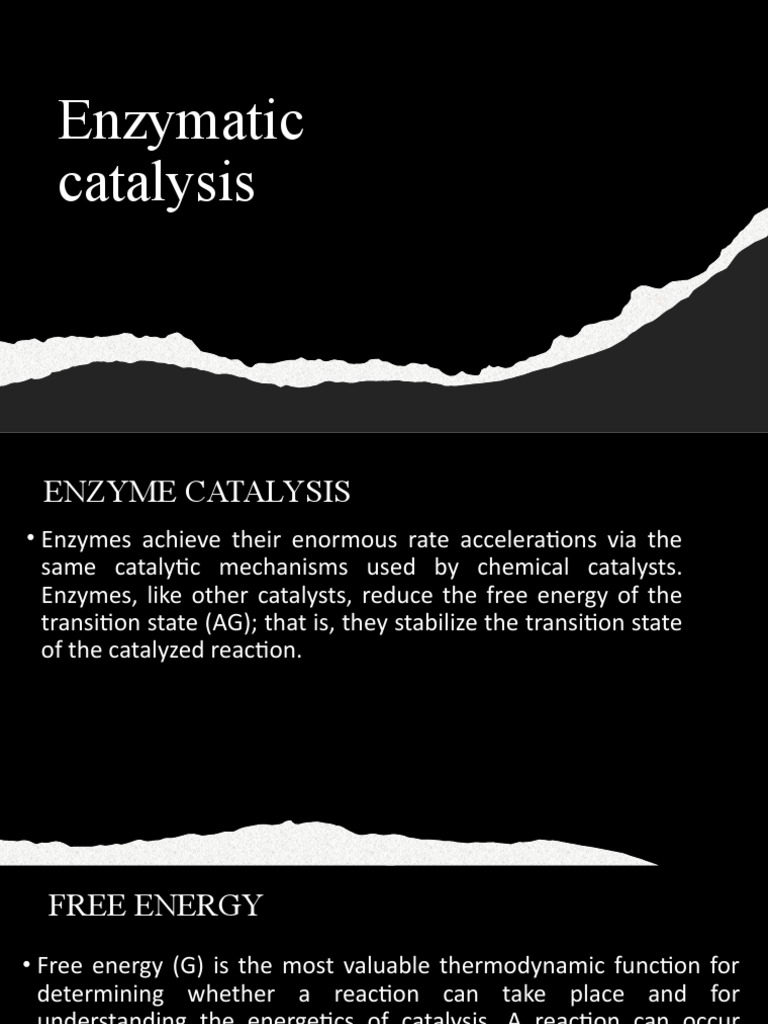 Enzymatic Catalysis PDF Enzyme Catalysis
