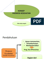 Konsep Promkes