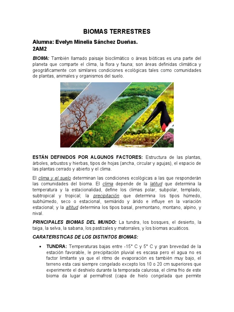 Características de los Biomas Terrestres | PDF | Selva | Clima