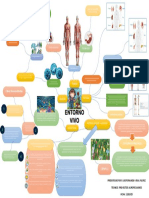 Mapa Mental Con Los Conceptos Básicos Del Entorno Vivo. GA1-220201501-AA1-EV01. Fercho