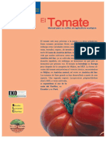 Cultivo de Tomate Ecologico