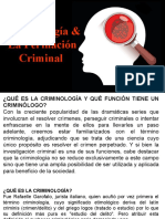 Introducción a la Perfilación Criminal. Dr. Luis Bravo.