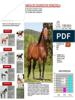 Equino keismar pdf
