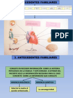 Antecedentes Familiares