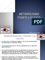 Clase 24 - Metabolismo Fosfo-Cálcico