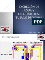 Clase 19 - Excreción de Agua y Electrolitos. Túbulo Proximal