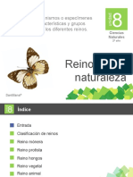 8 Reinos de La Naturaleza