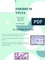 Presentacion Final Plasmodium Vivax