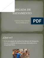 Brigada de Salvamento