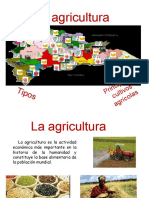 La Agricultura - Tipos y Principales Cultivos