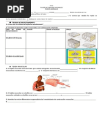 Taller y Tejidos Animales