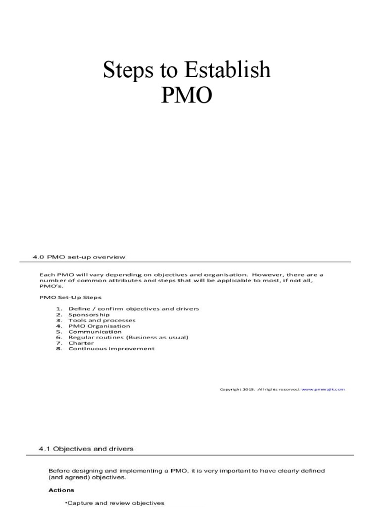 Steps To Establish A PMO 8 17042021 013259pm | PDF