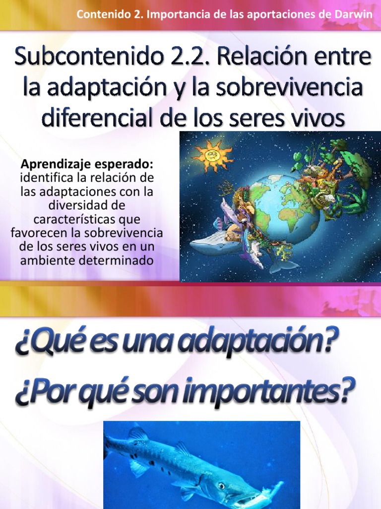 Estas Son Las Diferencias Fundamentales De La Adaptación De – DQVT