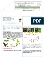 Guia Didactica Ciencias5